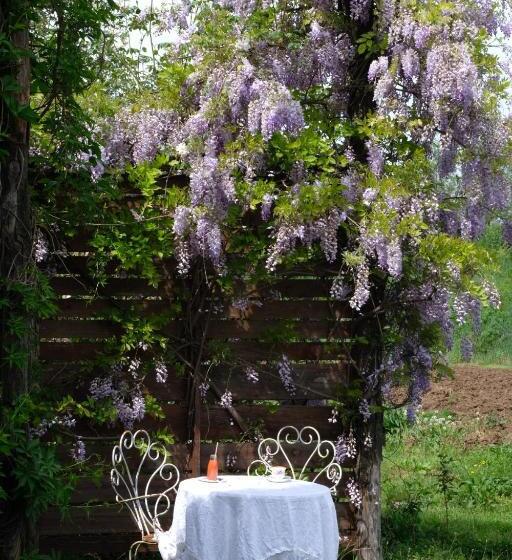 ベッドアンドブレックファースト Tenuta Agriturismo La Borina