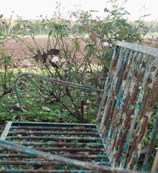 ベッドアンドブレックファースト Tenuta Agriturismo La Borina