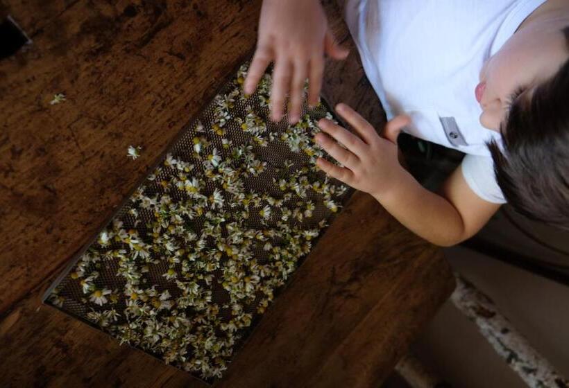 ベッドアンドブレックファースト Tenuta Agriturismo La Borina