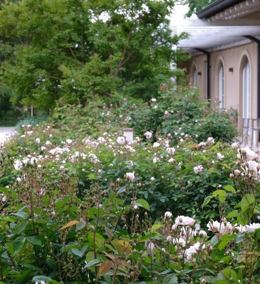 ベッドアンドブレックファースト Tenuta Agriturismo La Borina