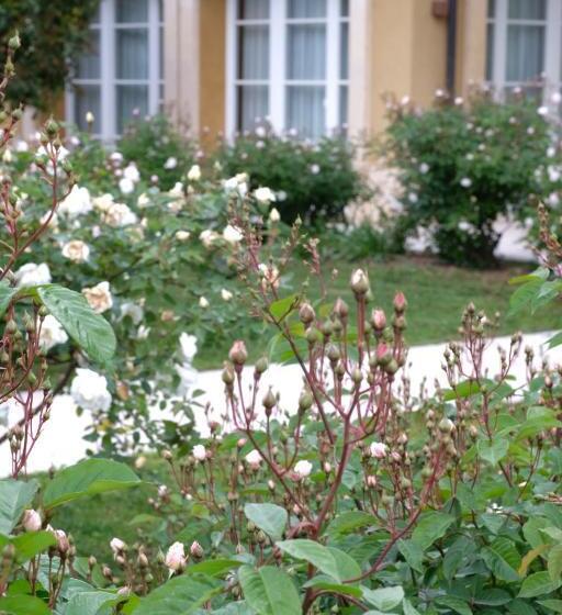 ベッドアンドブレックファースト Tenuta Agriturismo La Borina