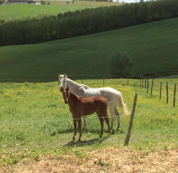 B&b Tenuta Il Galletto