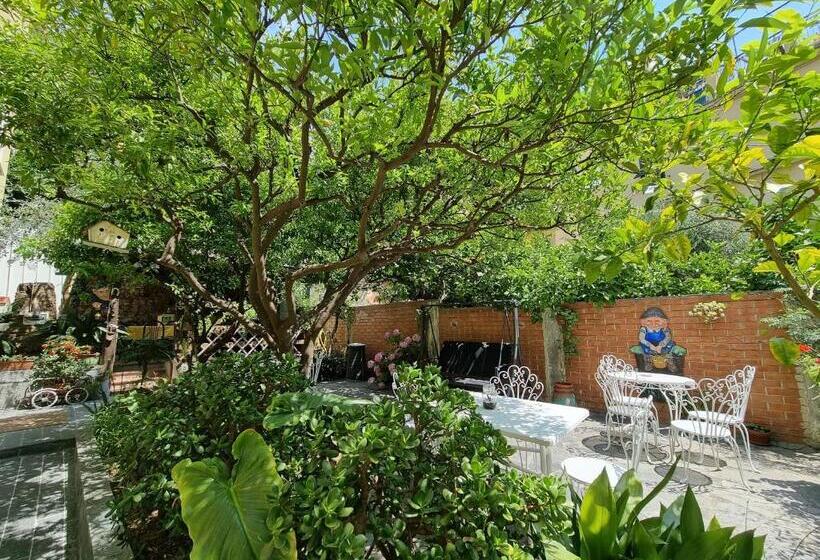 ベッドアンドブレックファースト Villa Pina