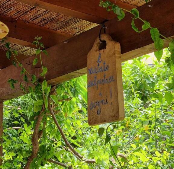 ベッドアンドブレックファースト Villa Pina