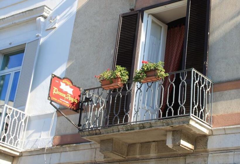 Domus Angela B&b