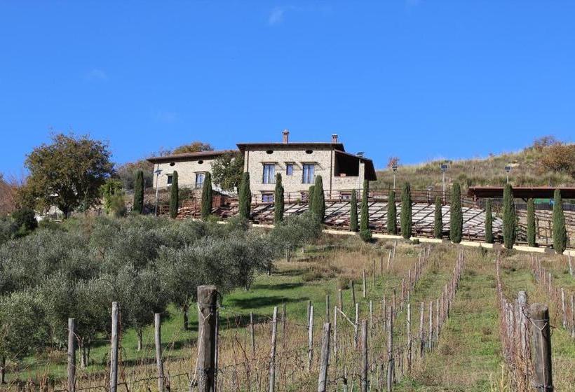 Feudi Enchestre B&b Agropoli