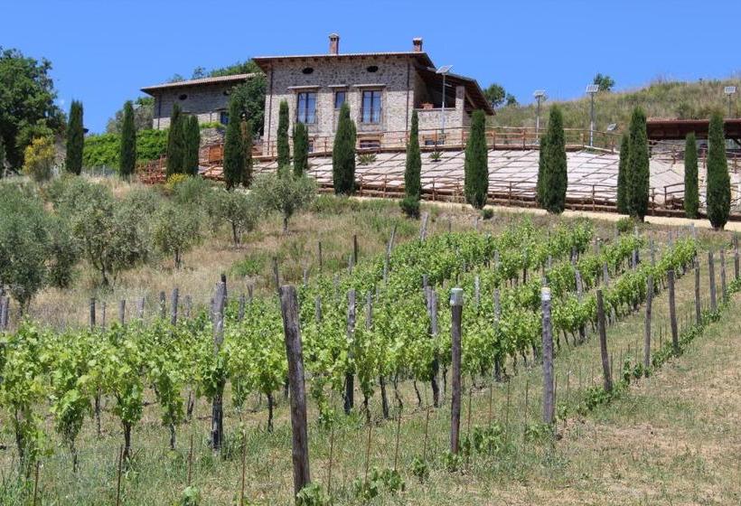 Feudi Enchestre B&b Agropoli