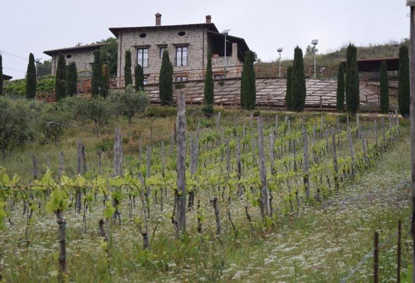 Feudi Enchestre B&b Agropoli