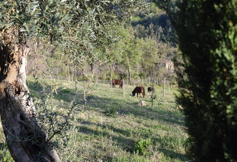 Feudi Enchestre B&b Agropoli