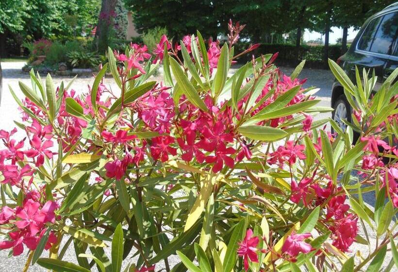 호텔 Albergo Grifone 1891