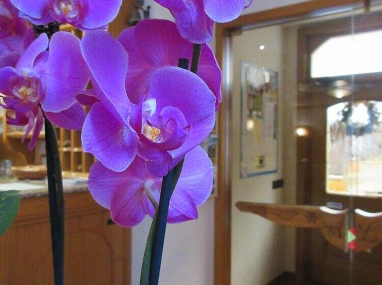 בית מלון כפרי Albergo Lucia