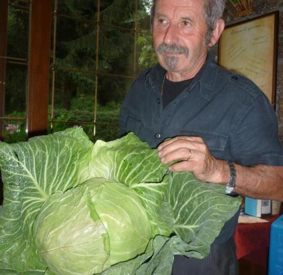 בית מלון כפרי Belandin Ristorante