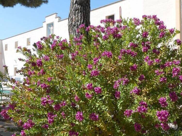 فندق Casa Per Ferie Sacro Cuore