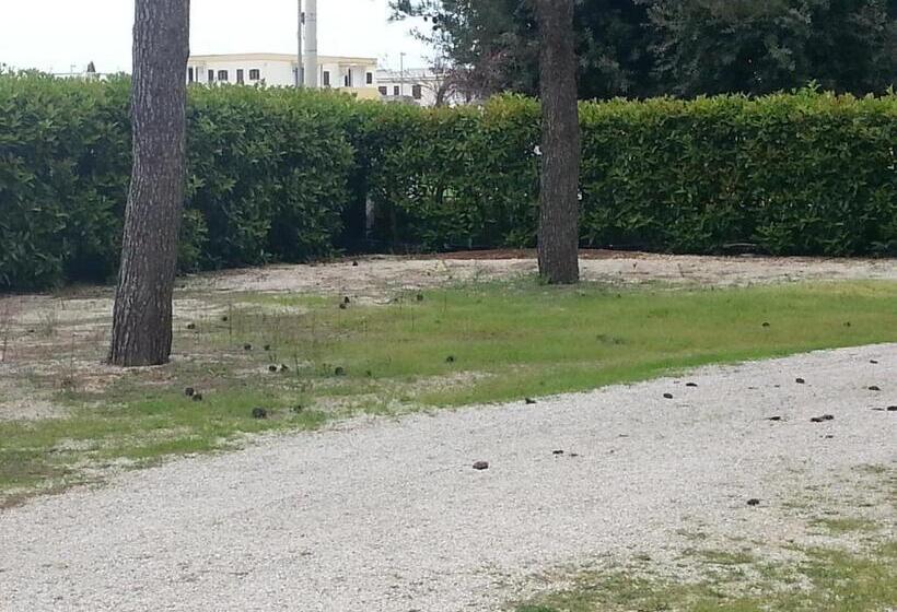 فندق Casa Per Ferie Sacro Cuore