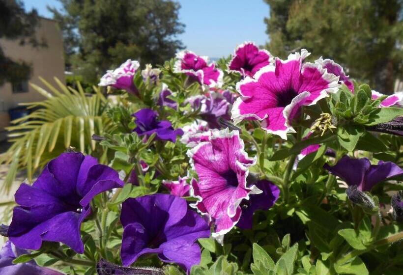 فندق Casa Per Ferie Sacro Cuore