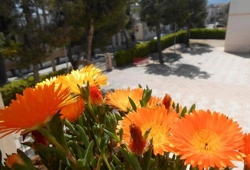 فندق Casa Per Ferie Sacro Cuore