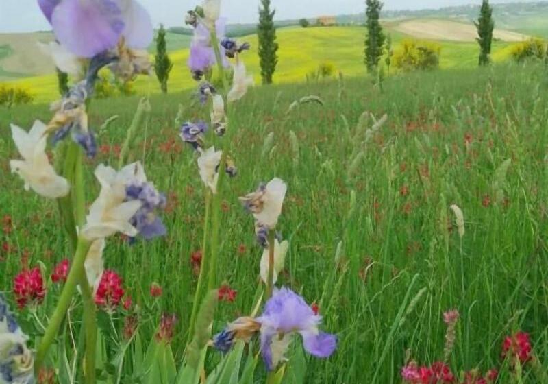 Locanda Del Sorriso B&b