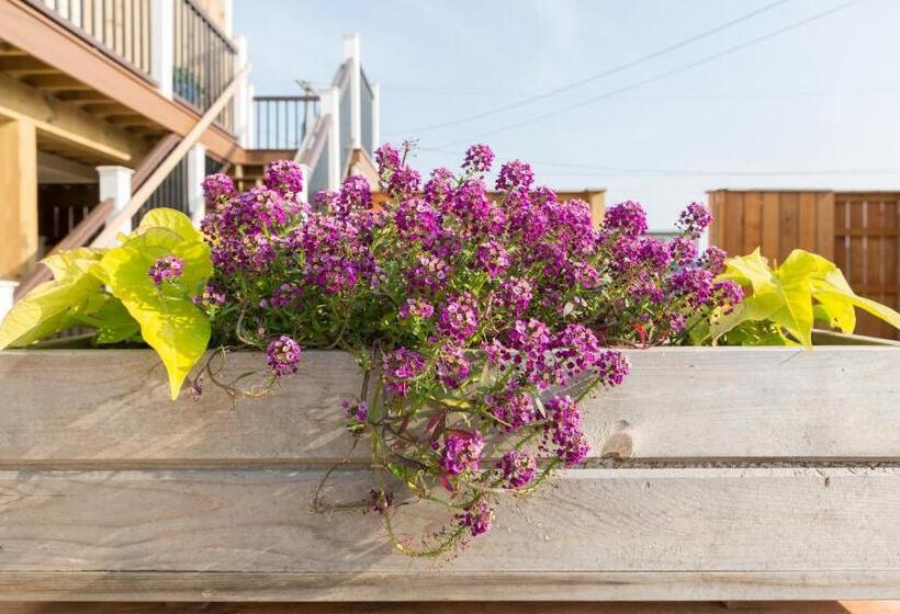 فندق على الطريق Aqualina Inn Montauk