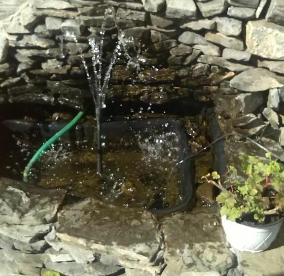 מוטל Complex Europa L.g