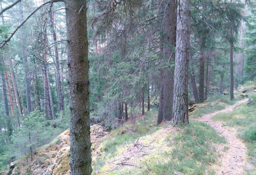 فندق صغير Guesthouse Seghetto