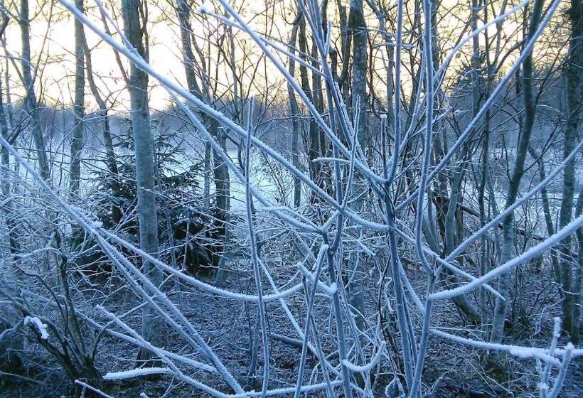 فندق صغير Guesthouse Seghetto