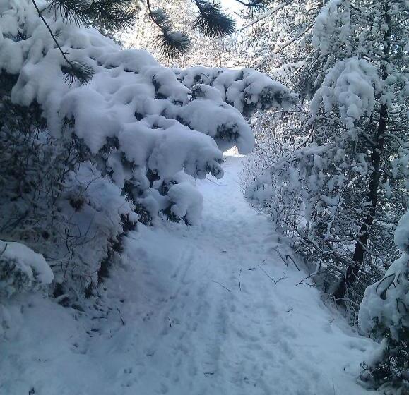 فندق صغير Guesthouse Seghetto