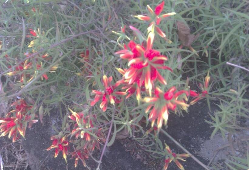 فندق صغير Guesthouse Seghetto