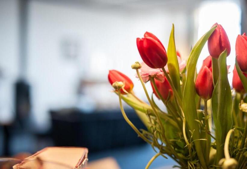 B&b Binnengewoon Rooms With A View