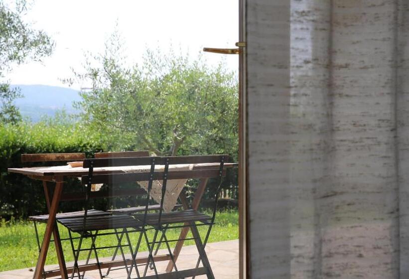 B&b Casa Degli Ulivi