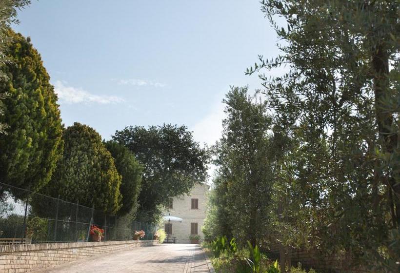 Bed And Breakfast Aratro & Rosmarino