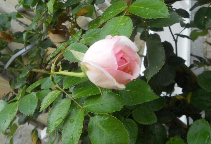 مبيت وإفطار Beb Villa Aurora