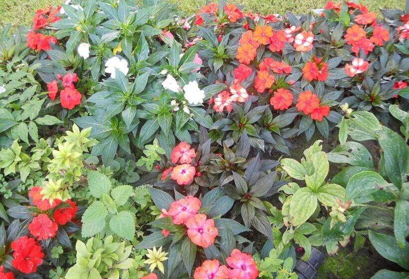 مبيت وإفطار Beb Villa Aurora