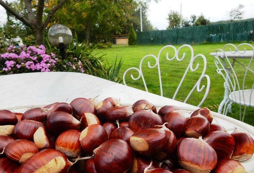 مبيت وإفطار Bed&breakfast La Siepe