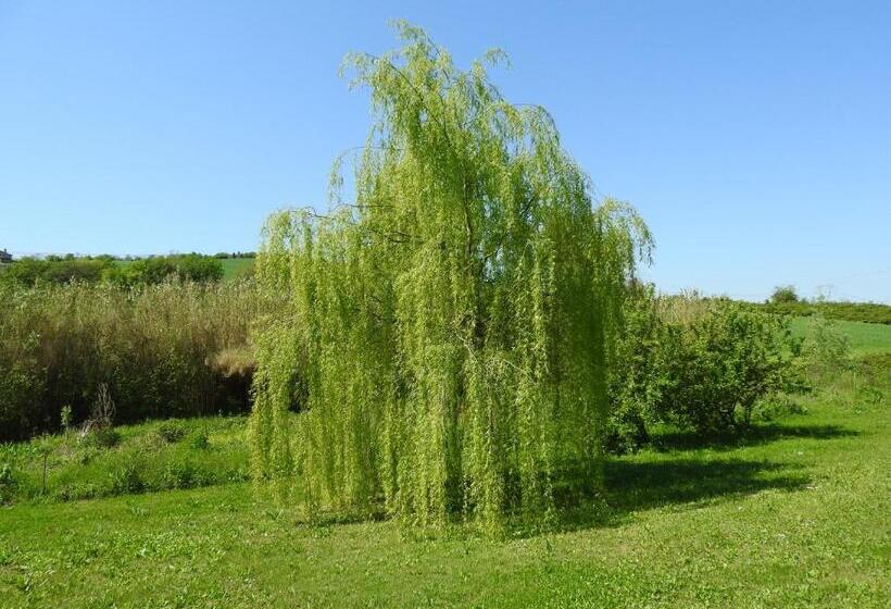 민박 Casa Sorgente