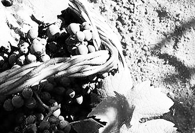 Bed and Breakfast Civico 2