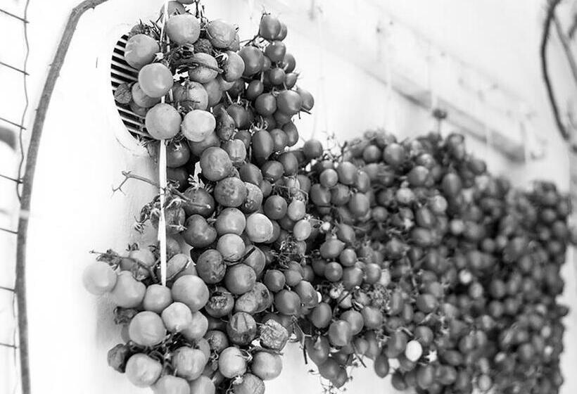 Nocleg ze śniadaniem Civico 2