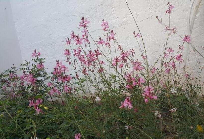 Bed and Breakfast Civico 2