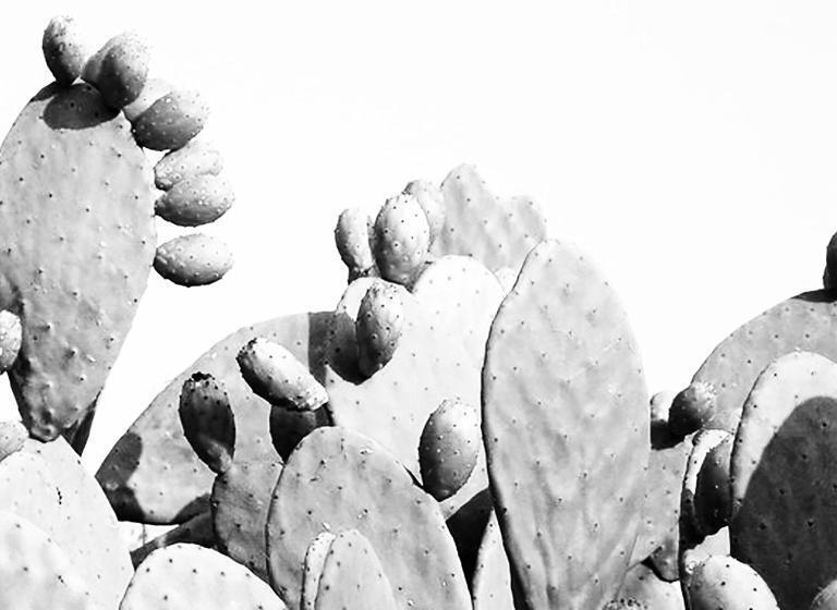 Bed and Breakfast Civico 2