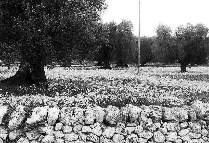 Bed and Breakfast Civico 2