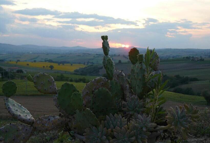 צימר Dolcedimora
