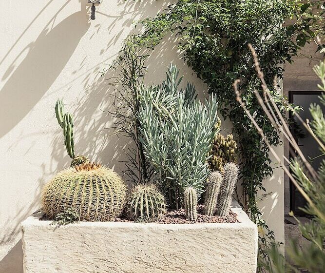 مبيت وإفطار Don Totu   Dimora Storica