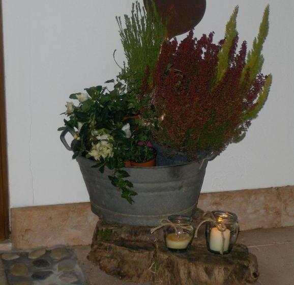 צימר Fra Rose E Mughi