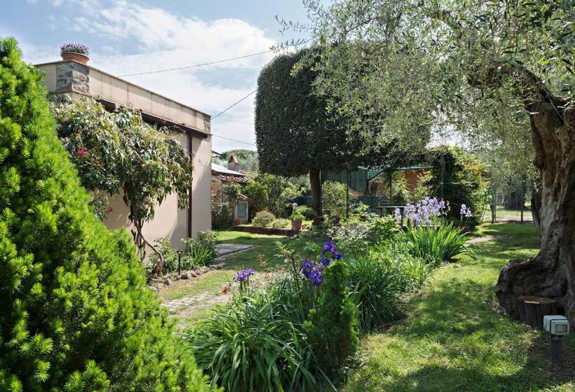 مبيت وإفطار I Glicini Appartamento