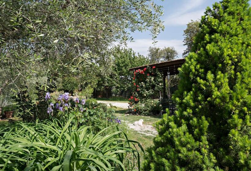 مبيت وإفطار I Glicini Appartamento