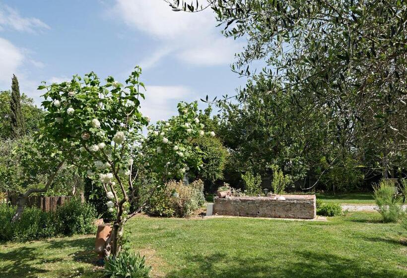 مبيت وإفطار I Glicini Appartamento