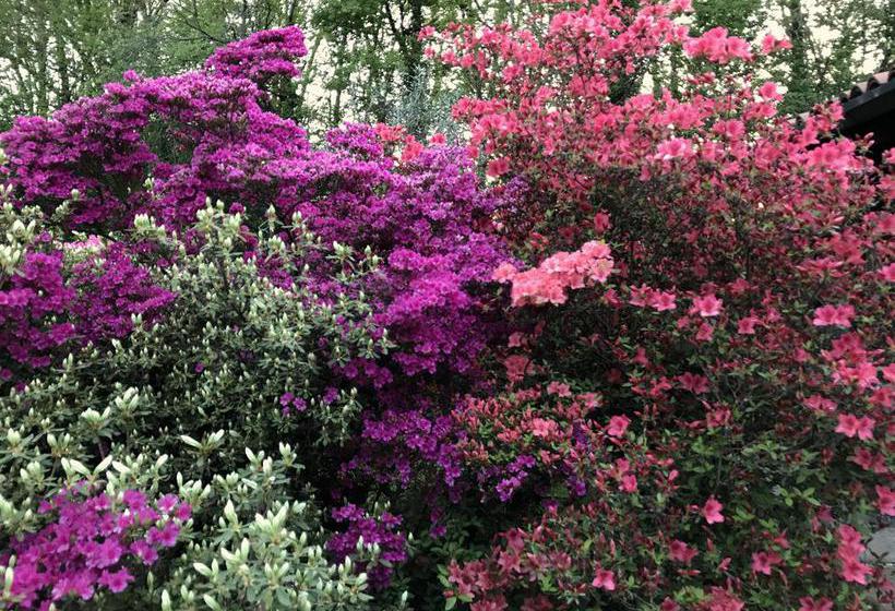 住宿加早餐  Il Giardino Dei Sogni