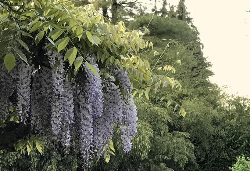 住宿加早餐  Il Giardino Dei Sogni