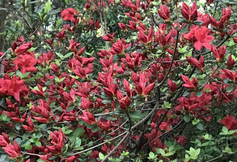 住宿加早餐  Il Giardino Dei Sogni