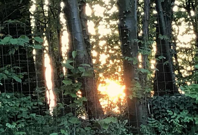 住宿加早餐  Il Giardino Dei Sogni