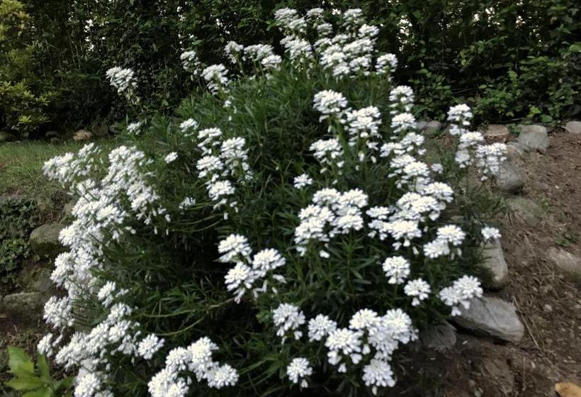 住宿加早餐  Il Giardino Dei Sogni